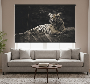 Rullgardin vardagsrum tiger ligger ner - Tenstickers