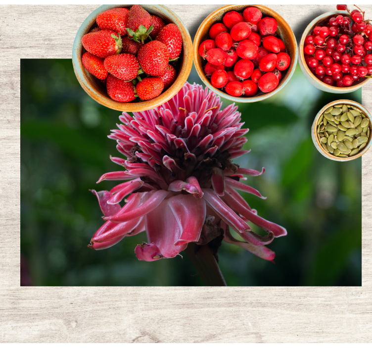 Bordstabletter original tropisk blomstarrangemang - Tenstickers