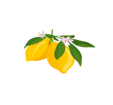 Blommig citron bordsmatta - Tenstickers