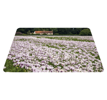 Lavendelblomsterfält bordstabletter original - Tenstickers