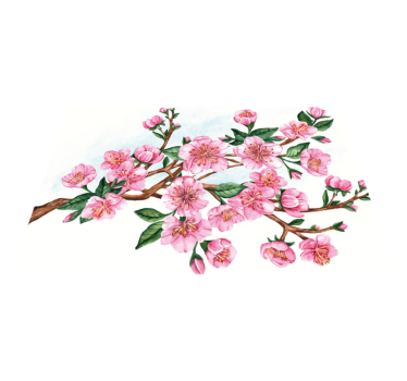Elegant blommig skål bordstabletter original - Tenstickers