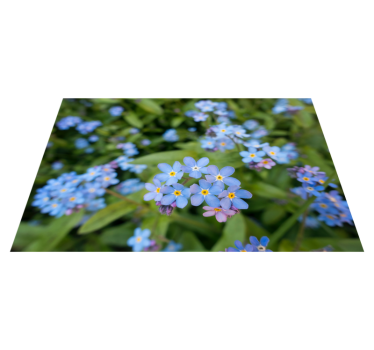Söta små blå blommor mattor - Tenstickers