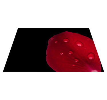 Röd blomblad yta bordstabletter - Tenstickers