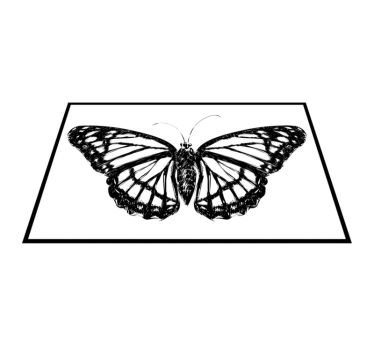 Bordstabletter original elegant fjärilsillustration - Tenstickers
