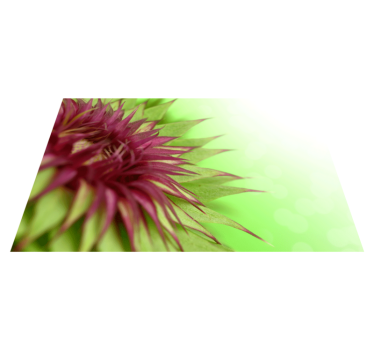 Tistel Bordstabletter elegant - Tenstickers