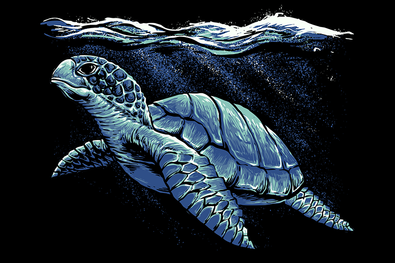 Sköldpadda hand ritning sköldpadda bordstabletter - Tenstickers