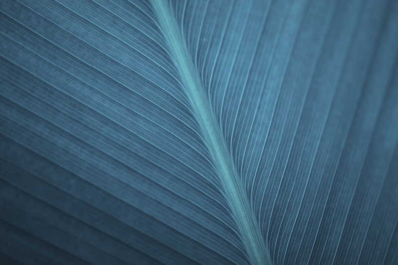 Stora blågråa blad moderna bordstabletter - Tenstickers