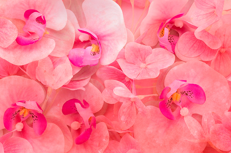 Graceful bloom komposition bordstabletter - Tenstickers