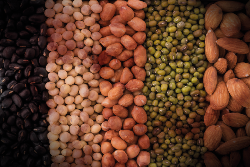 Bordstabletter blandade nötter - Tenstickers