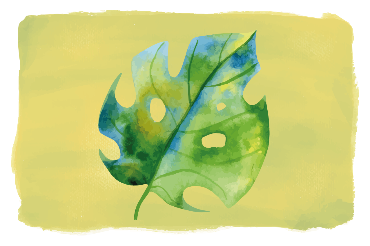 Bordstabletter original monstera blad design - Tenstickers