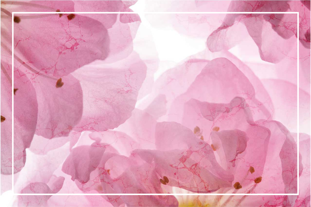 Bordstabletter elegant med mjukt blommönster - Tenstickers