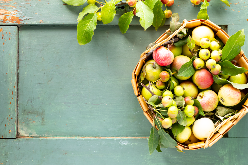 Hus bordstabletter fruktkorg arrangemang - Tenstickers