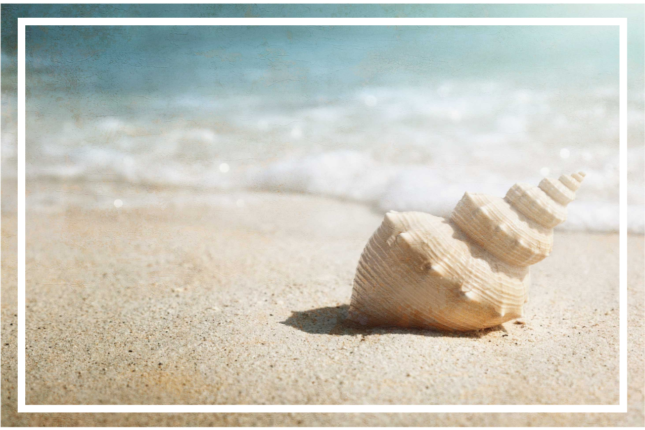 Elegant skaldisplay bordstabletter original - Tenstickers