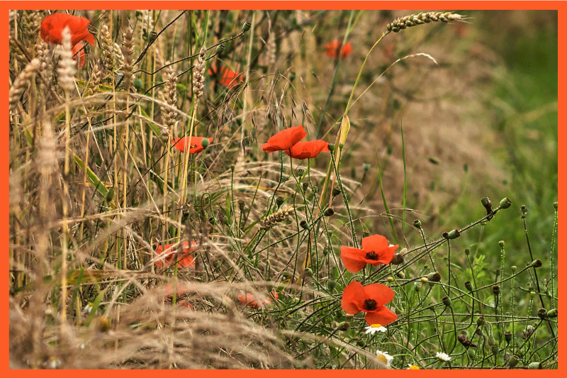 Roliga matarrangemang bordstabletter barnen - Tenstickers