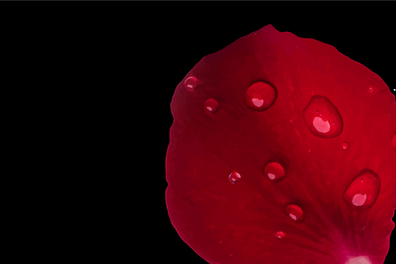 Röd blomblad yta bordstabletter - Tenstickers