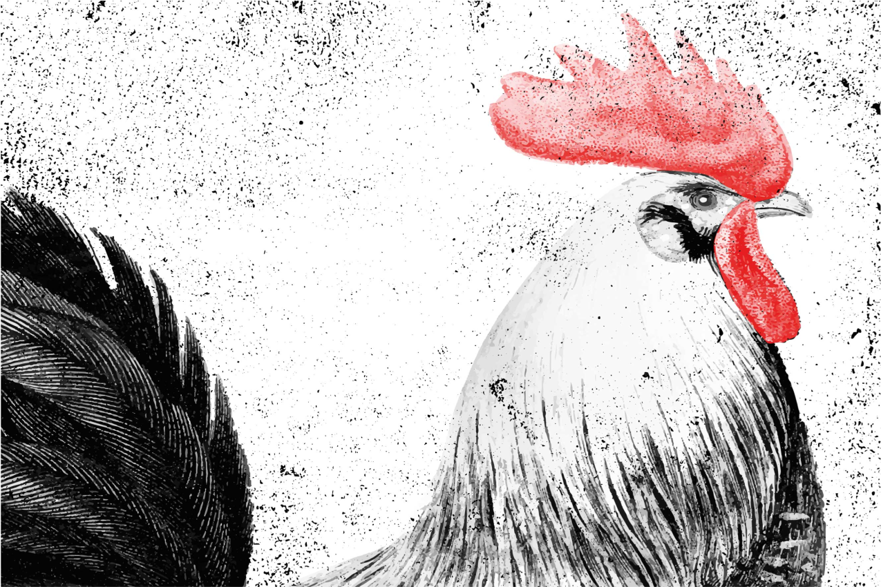 Bordstabletter original med tuppillustration - Tenstickers