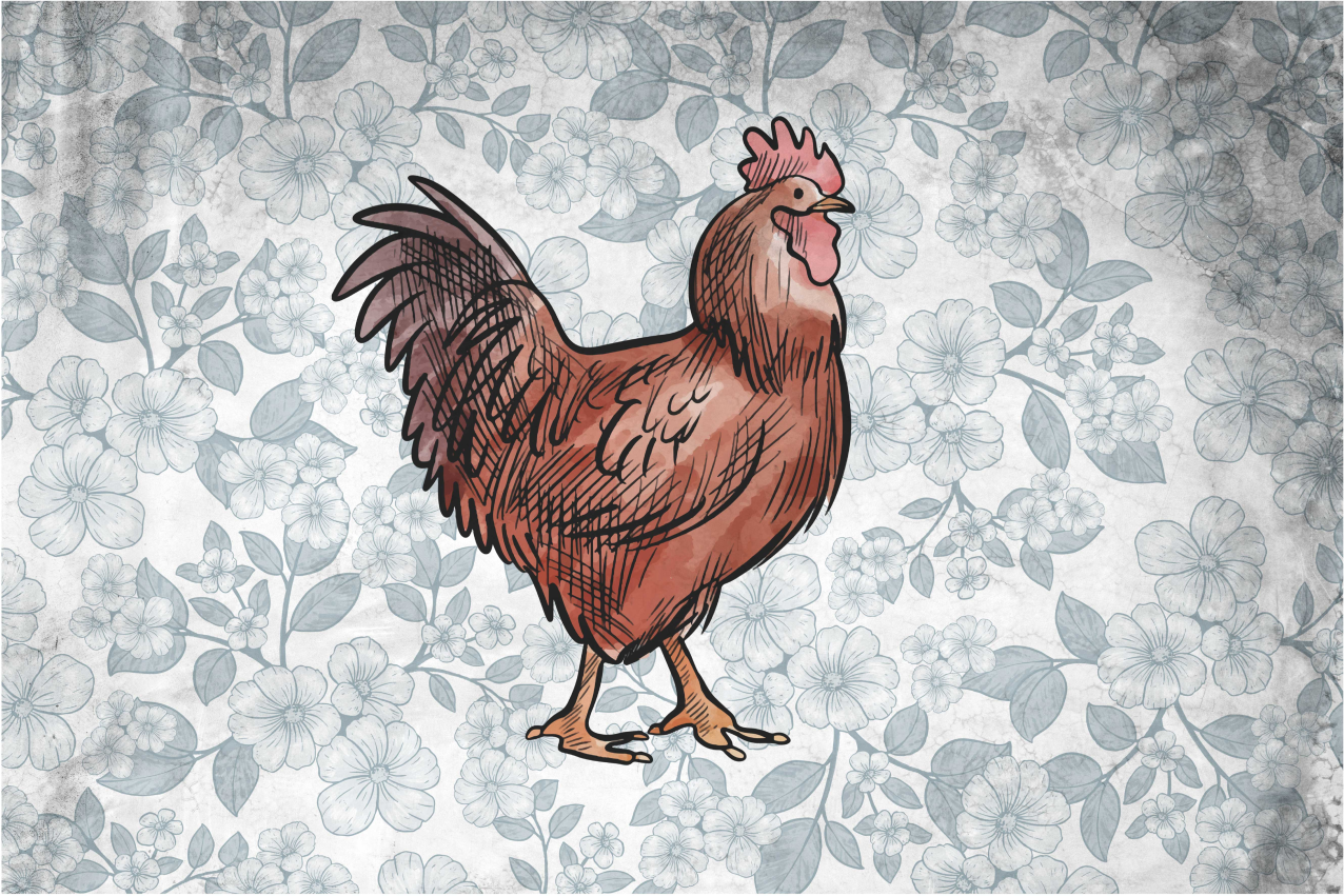 Rustik kycklingillustration bordstabletter original - Tenstickers