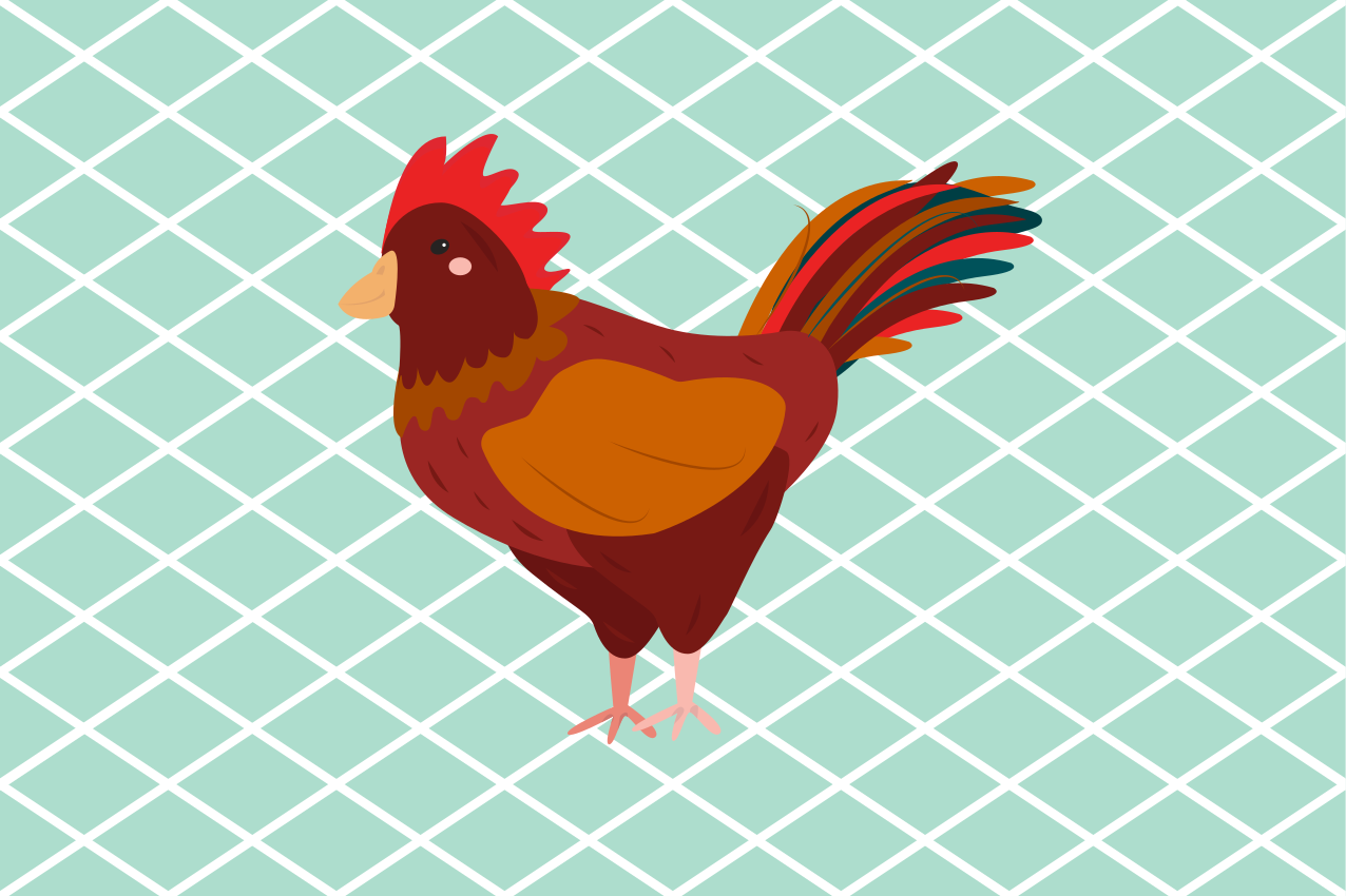 Bordstabletter original med charmig tuppillustration - Tenstickers