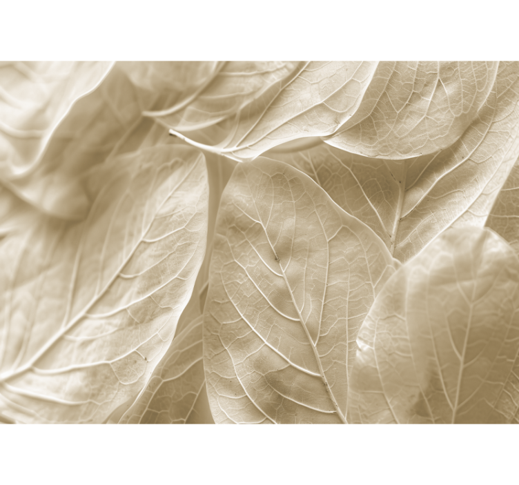 Stora beige blad Fototapeter Äktenskap - Tenstickers