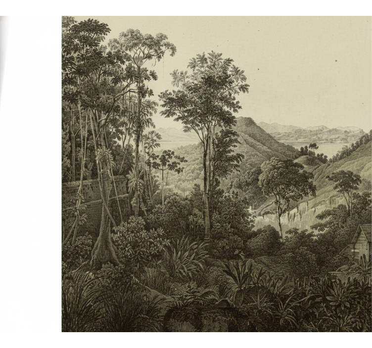 Fototapeter skogar kuperad skogstrykk - Tenstickers