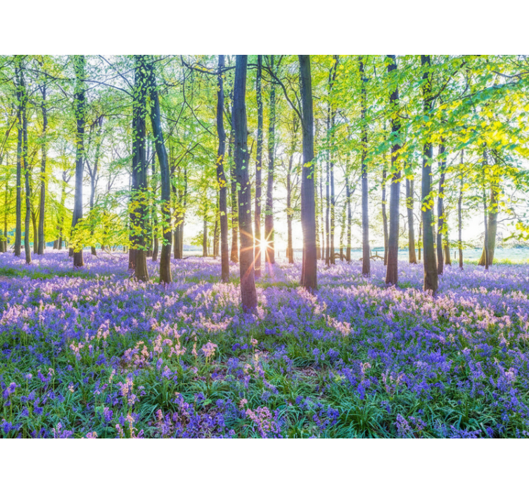 Fototapeter skogar naturinspirerad modernism - Tenstickers