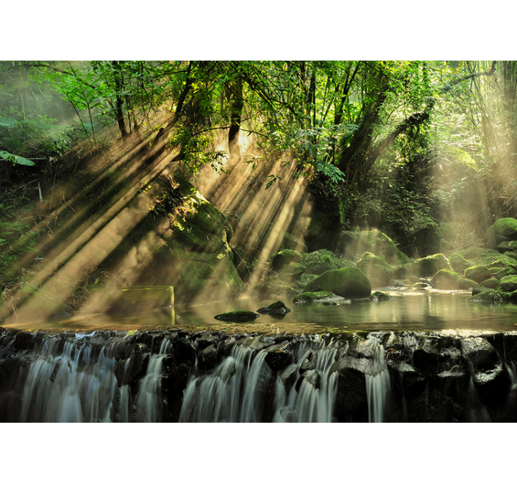 Det hemliga skoglandskapet fototapet - Tenstickers