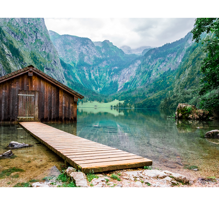 Koja i fototapeten - Tenstickers