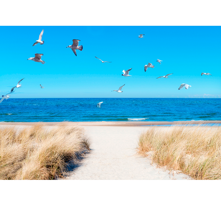 Strand solnedgång fototapet - Tenstickers