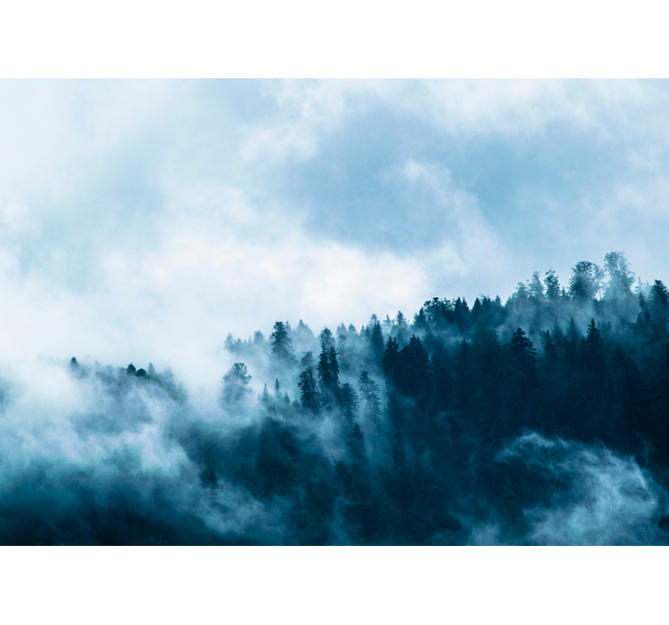 Vinter dimmig skog fototapet - Tenstickers