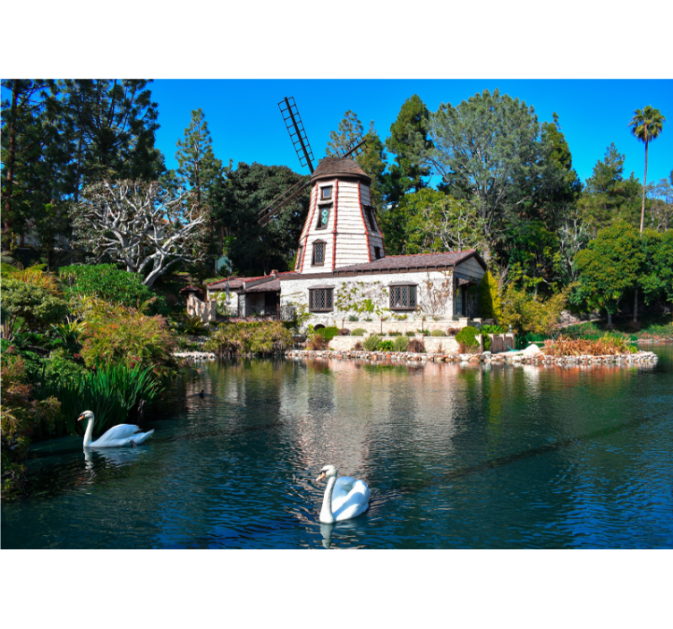 Två svanar och färgglada träd fototapet - Tenstickers