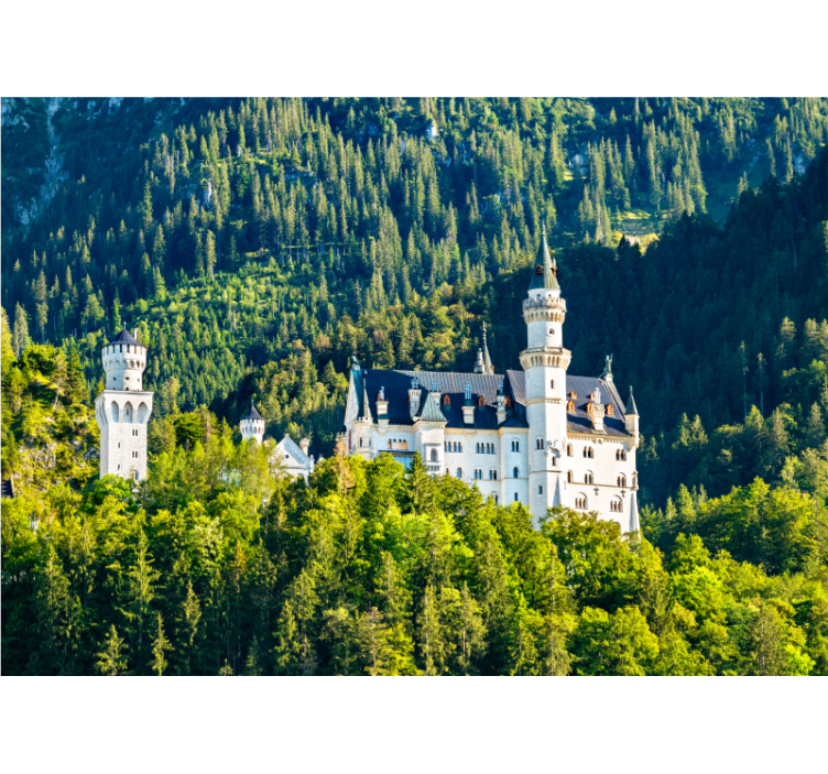 Fototapeter städer och länder neuschwanstein slottsvy - Tenstickers