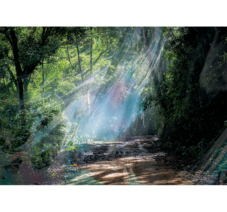 Fototapeter natur strålande skogsstig - Tenstickers