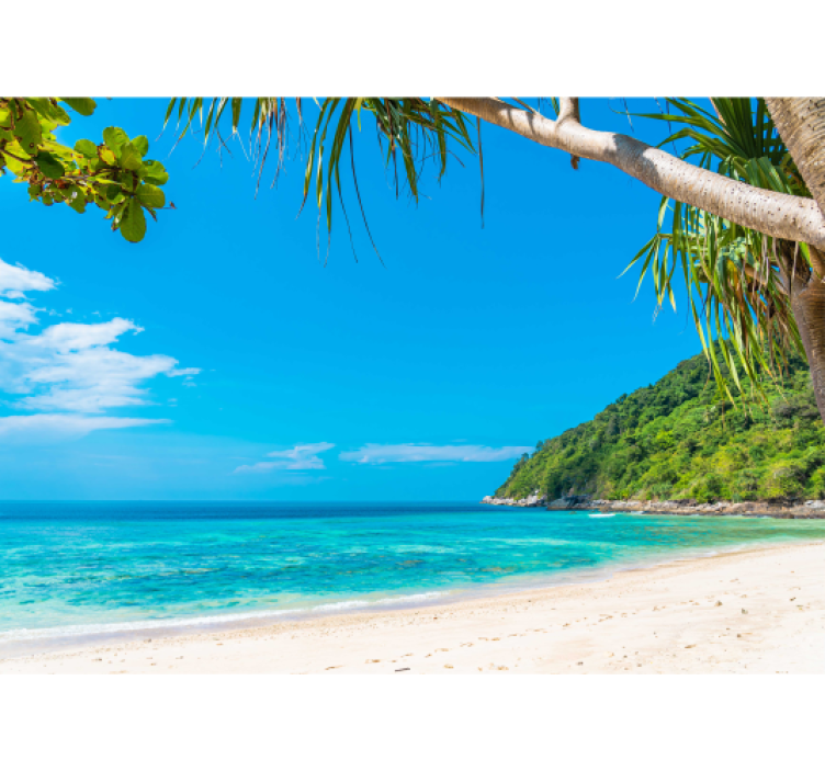 Tropiskt kustlandskap Fototapeter Hav - Tenstickers