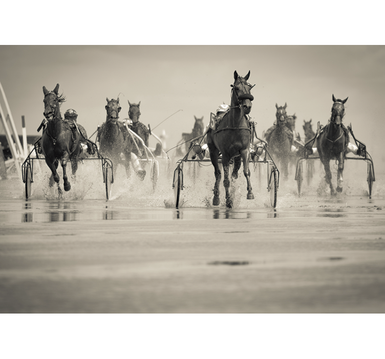Hästar som tävlar tillsammans Fototapeter djur - Tenstickers