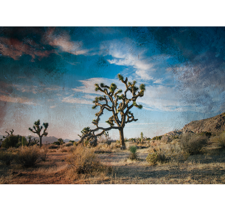 Joshua tree-landskapet Fototapeter Natur - Tenstickers