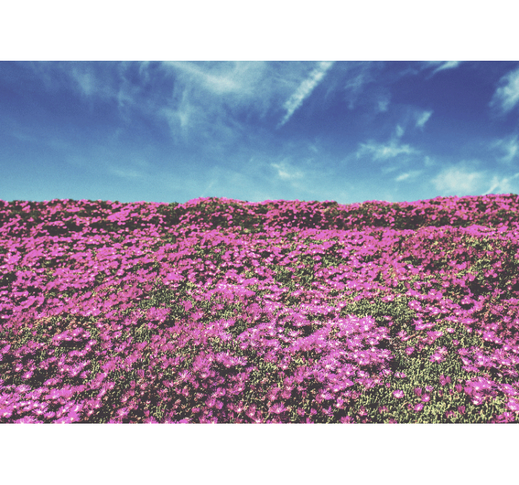 Fototapeter blommor klara rosa blommor - Tenstickers