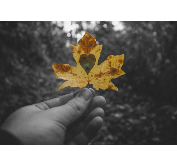 Hjärtformat blad Fototapeter Natur - Tenstickers