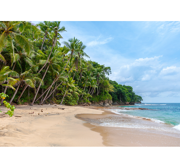 Fototapeter natur tropisk strand oas - Tenstickers