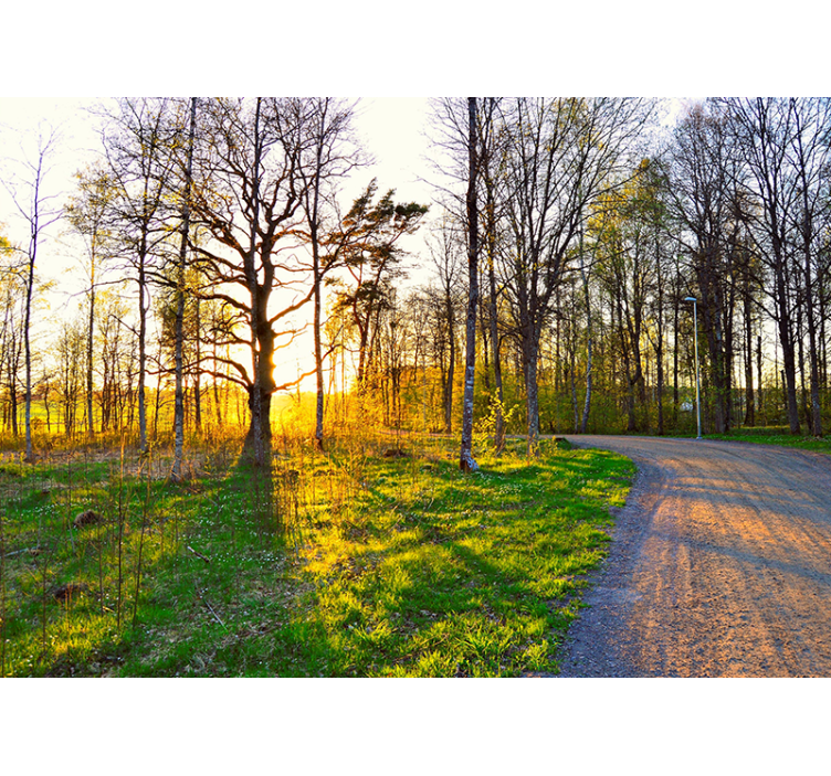 Parc grön bank natur fototapeta - Tenstickers