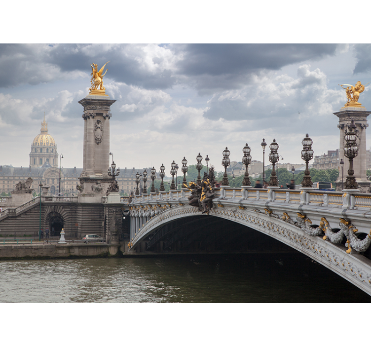 Utsikt över pont alexandre iii Fototapeter Städer och länder - Tenstickers