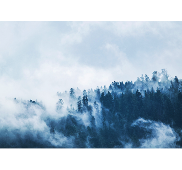 Fototapeter natur skogsdimmig landskap - Tenstickers