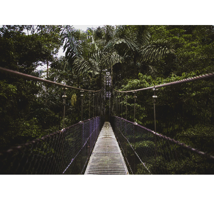 Bro i en djungel natur fototapeta - Tenstickers