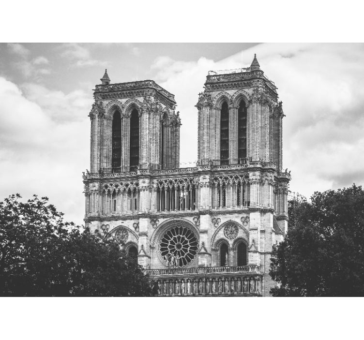 Katedralen i notre dame Fototapeter Paris - Tenstickers