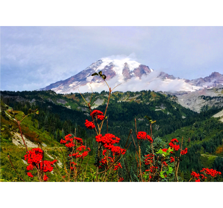 Fototapet berg och röda blommor - Tenstickers