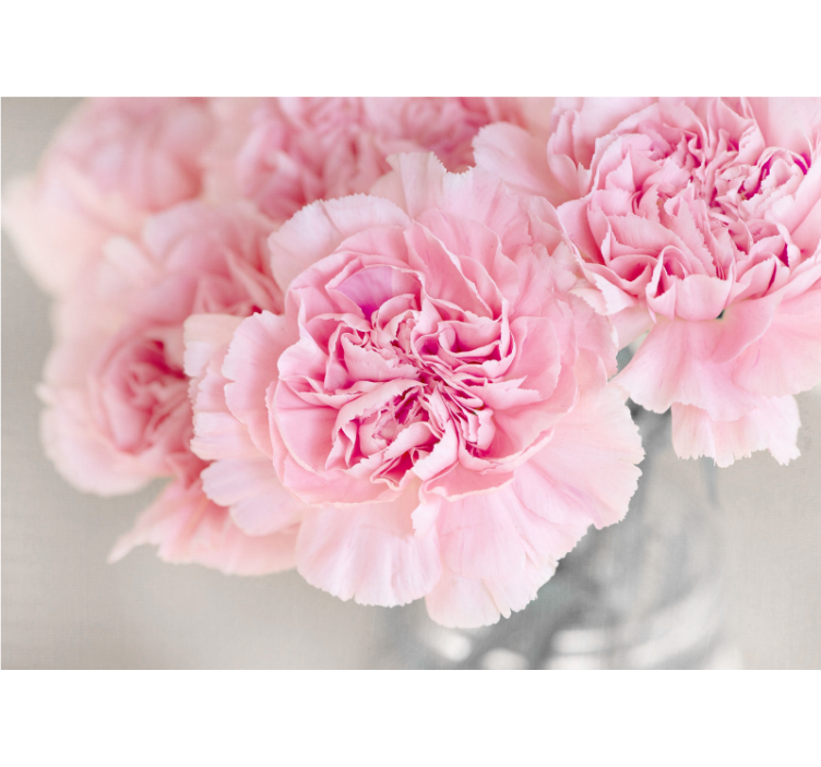 Fototapeter blommor ljuvliga rosa blommor - Tenstickers