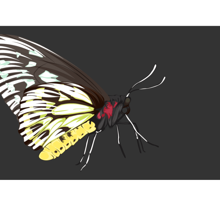 Gul fjäril design Övriga fototapeter - Tenstickers