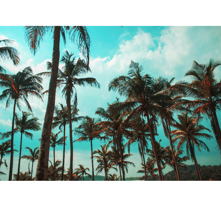 Fototapeter natur palmträdens paradis - Tenstickers