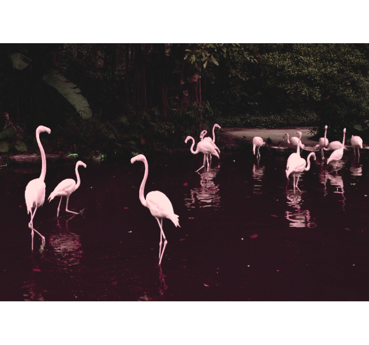Fototapeter kontor eleganta flamingos samling - Tenstickers