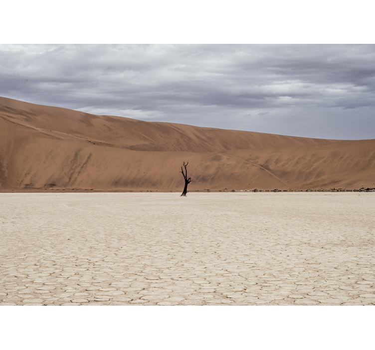 Fototapeter fjäll Ökenlandskap utsikt - Tenstickers