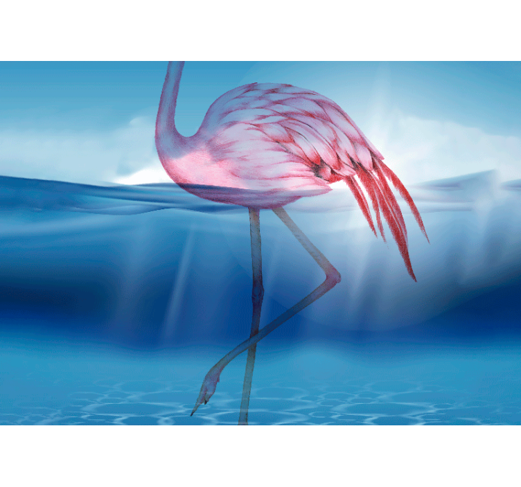 Fototapeter djur elegant flamingo ställning - Tenstickers